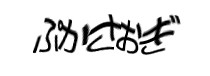 Authentication image